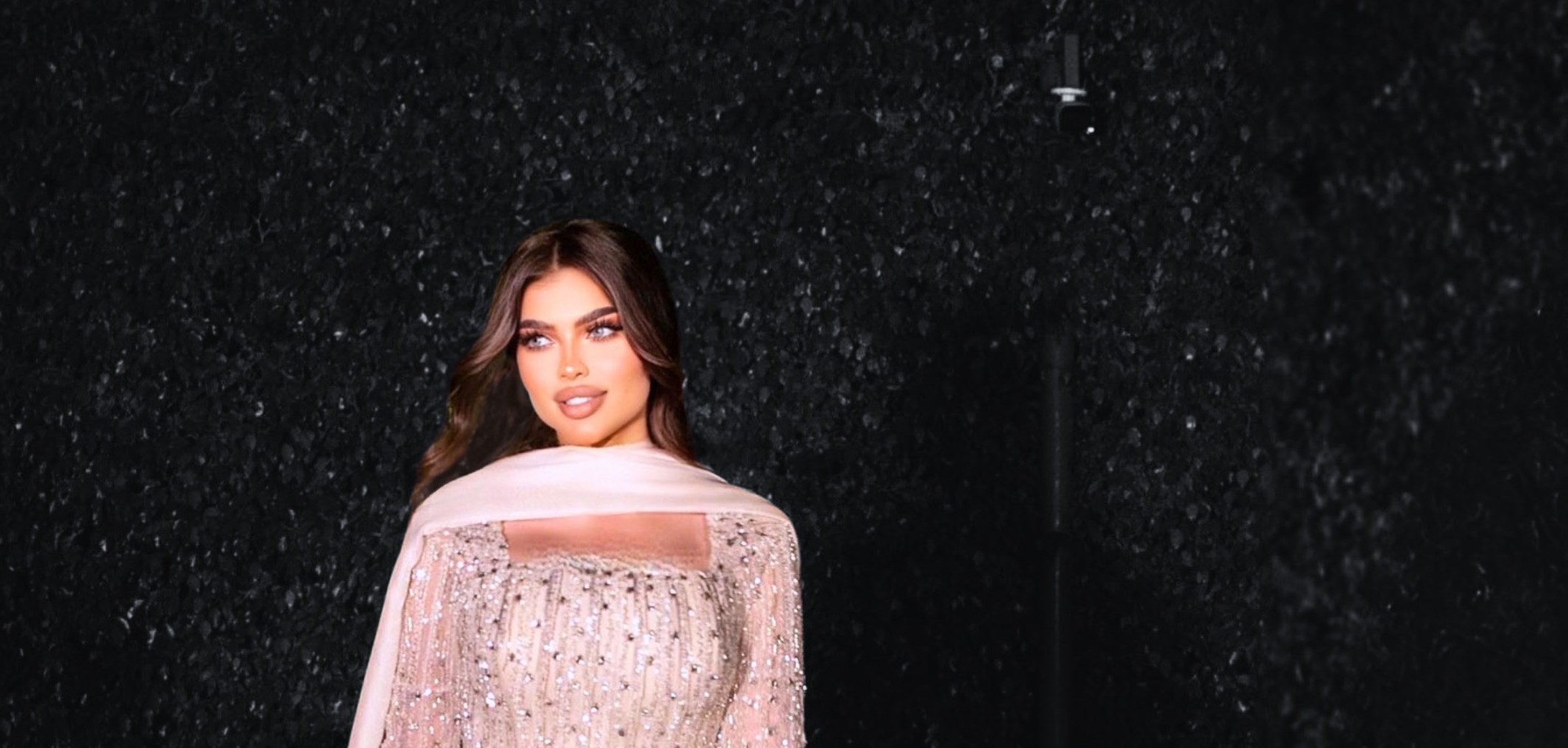 Reem Al Jesmi in a blush embroidered gown